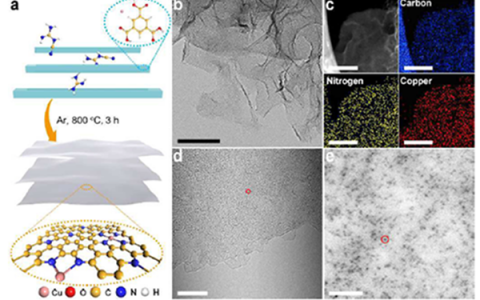 Energy Environ. Sci.：富铜单原子活性位点以促进ORR催化反应