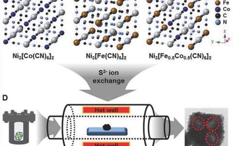 滑铁卢大学陈忠伟AFM: 三元Ni-Co-Fe普鲁士蓝类似物对双电催化氧和析氢反应的空心多体纳米螺旋