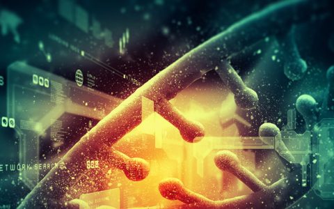 十一篇文章带你初步了解DNA纳米技术的发展历程