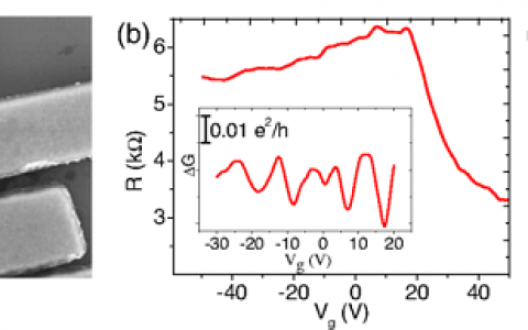 北大俞大鹏&廖志敏PRL: Dirac半金属Cd3As2纳米线的体相和表面态间的Fano干涉