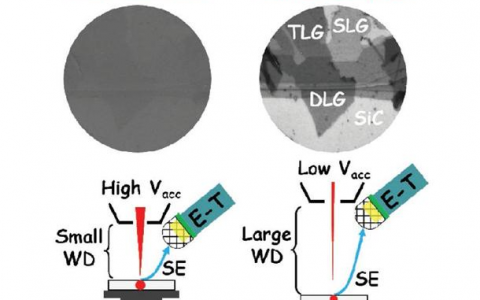 哈工大Small：巧用扫描电镜实现衬底支撑石墨烯的高质量成像