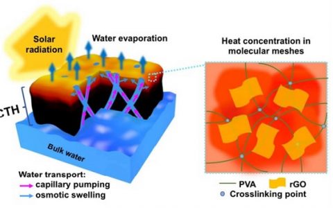 美国德克萨斯大学奥斯汀分校余桂华Energy Environ. Sci.:防污染、高效的水凝胶海水淡化太阳能蒸发器