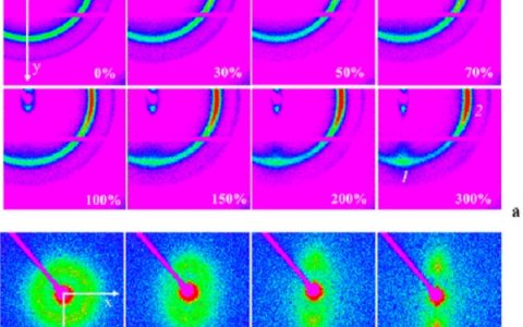 北京大学陈尔强教授Macromolecules: 基于多面体低聚倍半硅氧烷侧链的均聚和无规共聚聚降冰片烯——柔性链效应和组份依赖