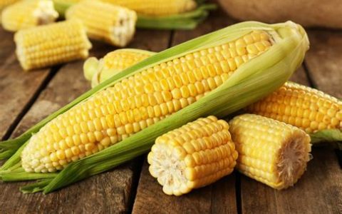 辟谣的代价：为了证伪一篇论文  欧盟花了1.1亿元人民币