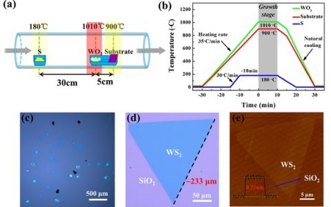 天津大学ACS AMI：二维高质量单层三角形WS2场效应晶体管