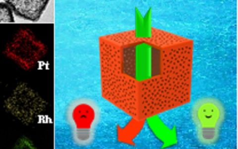 陕西师范陈煜AEM：多孔PtRhCu三金属空心纳米立方电催化乙醇氧化