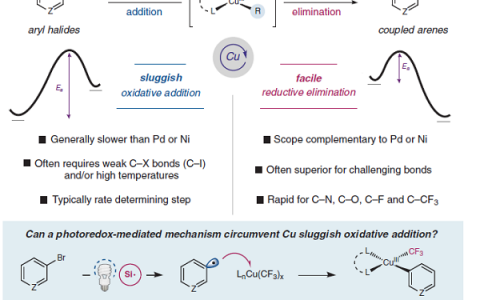 大牛Nature/Science轮着发不停歇:普林斯顿铜氧化加成问题再出奇招！