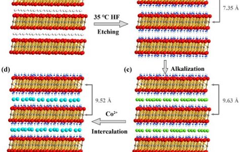 中科大宋礼AM：共价原子钴调控层间距--V2C MXenes展现突出锂离子存储性能