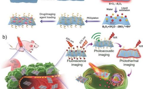 中山大学梅林教授Adv. Mater.：一种新型的超薄二维硼纳米薄片在多模态成像辅助癌症治疗中的应用