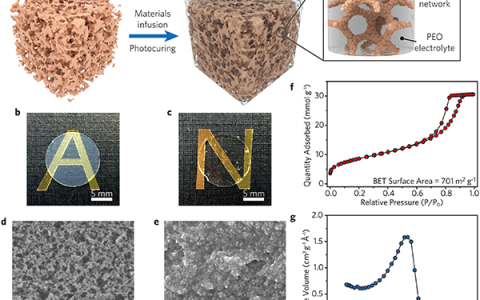 崔屹Adv. Mater: 具有高离子导电性和高模量的二氧化硅-气凝胶增强复合聚合物电解质