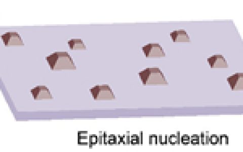 纽约州立大学周光文 Acta Mater.：岛状氧化物的一次和二次形核调控氧化膜织构