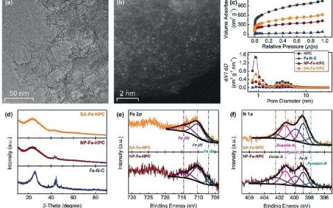 戴黎明&王峰Angew. Chem. Int. Ed. : 分散于分级多孔碳骨架的单原子铁基高效ORR催化剂
