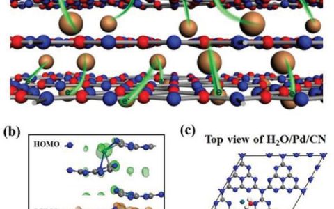 陈浩铭&余家国Adv. Funct. Mater. : 单原子调控助力光催化制氢