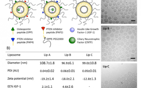 丹麦技术大学ACS Nano : 脂质体负载多种生物制剂，靶向刺激哺乳动物雷帕霉素信号通路保护视网膜神经