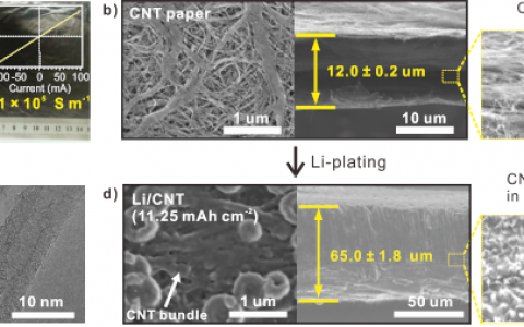Advanced Materials:用于高容量金属锂负极的可膨胀碳纳米管三维集流体