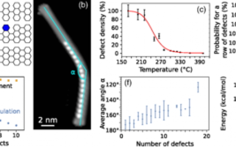 PRL: 深度揭示结构缺陷对单分子线的机械和电学性能的影响