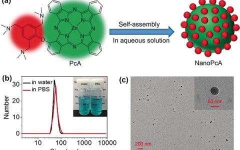 黄剑东&Juyoung Yoon  Angew. Chem. Int. Ed.: 酞菁自组装的纳米点作为光敏剂，用于高效I型光反应的光动力疗法