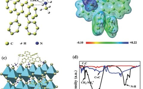 Adv. Mater.：超分子cation-π作用对高效稳定钙钛矿太阳能电池中离子迁移的抑制