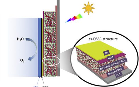 北京大学PANS: ss-DSSC作为掩埋结的染料敏化光阳极实现稳定的水氧化