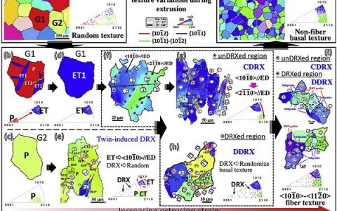 Acta Materialia：基于孪晶和动态再结晶揭示AZ31镁合金挤压成形过程中基面织构形成机理