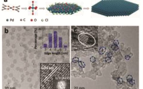 天津大学巩金龙Angew：超薄钯纳米片的低配位边缘位点改善CO2电还原性能