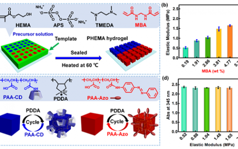 北京化工大学石峰教授：宏观超分子组装实现快速水下粘附
