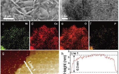 Adv. Mater. : 氧空位/表面调控超薄钴酸镍纳米片作为高能量锌离子电池正极