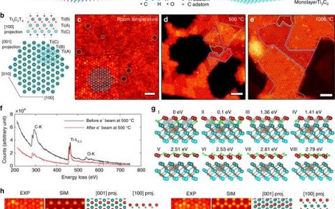 Nat. Commun. ：单层2D过渡金属碳化物生长机制的原子原位观察