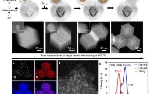 清华大学 Nat. Nanotech.：直接观察贵金属纳米粒子转变为热稳定的单原子