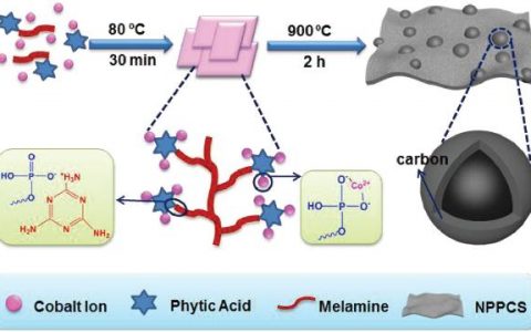 Adv. Mater. : 一步构筑氮磷共掺杂多孔碳片/CoP复合材料及其增强储锂/钾性能
