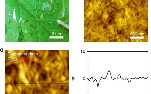 Nature子刊:本征离子导电纤维素纳米纸作为固体电介质用于低压有机晶体管