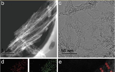 清华李亚栋&王定胜Adv. Funct. Mater. : 生物质策略助力合成高比表面钴单原子催化剂