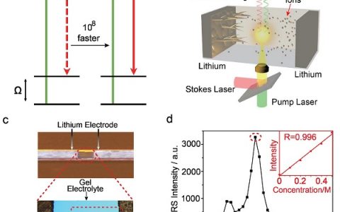 哥大杨远&闵玮教授这篇Nat. Commun 揭示锂离子沉积过程