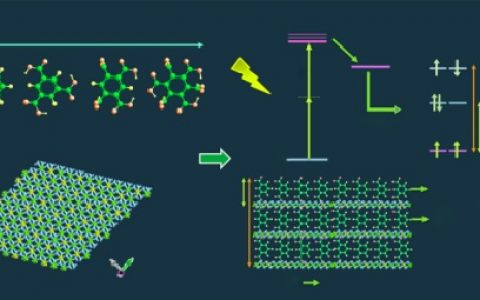 北师大闫东鹏＆北化工梁瑞政Nat. Commun.: 二维层状纳米光敏剂用于高效单线态氧生成和光动力学治疗