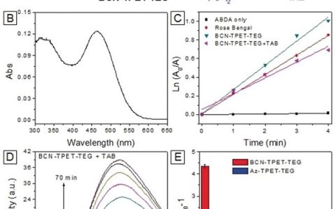 刘斌 Angew. Chem. Int. Ed.: AIE探针用于荧光“点亮”实时生物正交肿瘤标记和影像引导光动力治疗