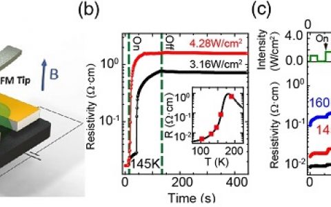 Phy. Rev. Lett.：在亚微米级相分离锰金属的金属-绝缘体转变中引起的中间态
