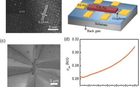 南科大俞大鹏&北大廖志敏Adv. Mater.：2D-3D狄克拉半金属异质结