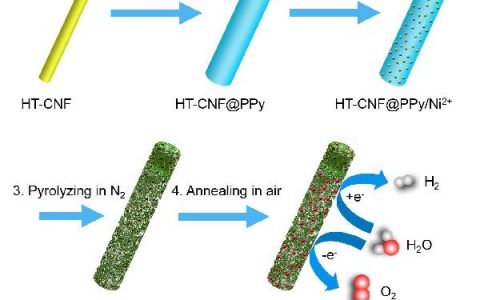 中科大俞书宏&梁海伟Nano Energy : Ni-N共掺杂碳纳米纤维负载部分氧化的Ni纳米颗粒作为双功能电催化剂用于全分解水