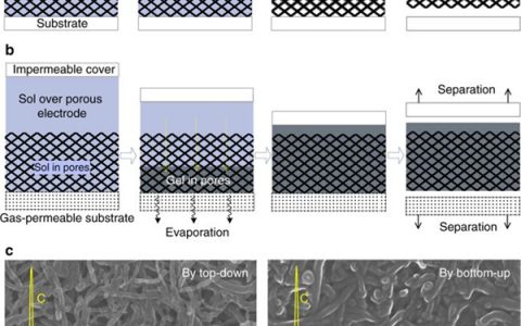 Nat. Commun.:凝胶电解质自下而上填充新方法获得高性能全固态柔性超级电容器