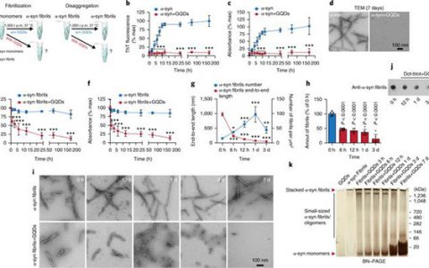 Nat. Nanotechnol.:石墨烯量子点预防帕金森的α-共核蛋白病