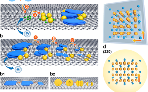 中科院化学所JACS：锂硫电池中的界面机制——锂盐如何调控电极结构演化和动力学