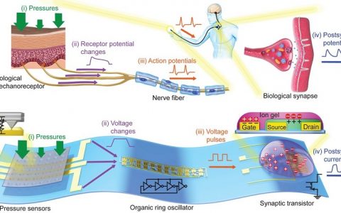 Nature/Science盘点: 六月材料领域重大进展