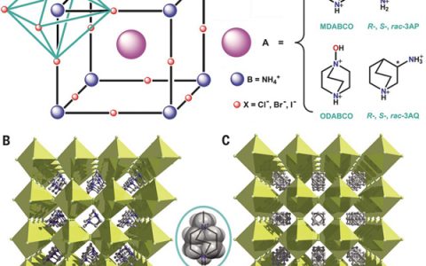 东南大学熊仁根教授团队发表第3篇Science：无金属的三维钙钛矿铁电体
