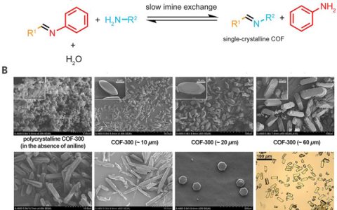 Science发布COF全新研究:COF的单晶XRD结构表征手段