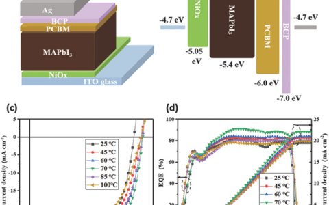 浙江大学Adv. Energy Mater: 高性能膜厚不敏感钙钛矿电池—实现高效率与厚膜的兼容