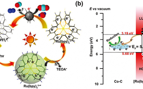 北科大Small: 金属钴-碳复合材料作为可回收和可逆的磁性光催化剂用于高效减少二氧化碳排放