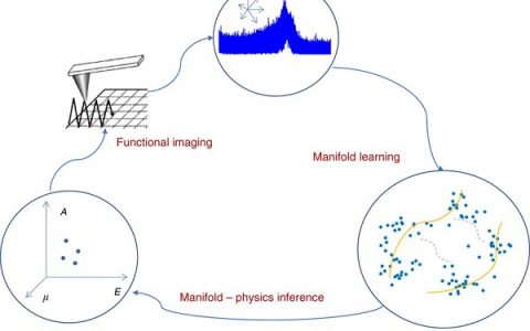 Nature communications:基于无监督流形学习的高精度扫描探针成像的方法体系