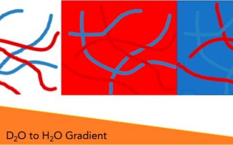 英国格拉斯哥大学J. Am. Chem. Soc.: 对有序凝胶光电性质的可控调节
