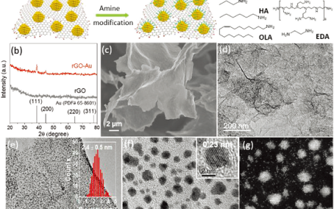 Adv. Energy Mater.: 对超小金纳米颗粒催化剂进行表面胺修饰提高电化学CO2还原性能