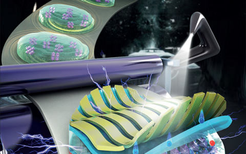 深大韩素婷副教授&周晔AM:基于无机钙钛矿量子点的光控多级阻变存储器